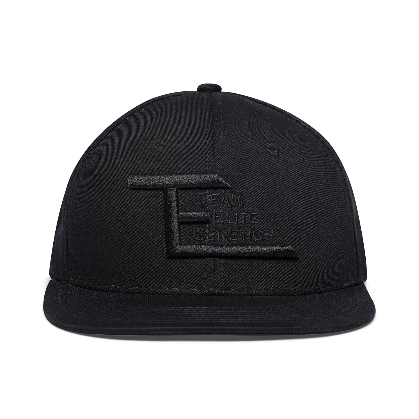 TEG Logo Snapback Hat