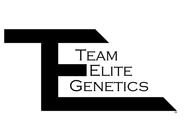 Team Elite Lifestyle 